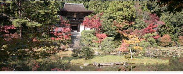 【大阪・阪神エリア発】 こんな旅してみたかった! 紅葉ミステリー 日帰り2